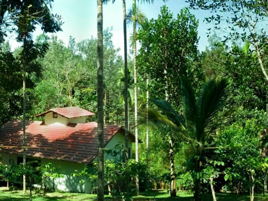 Willow Resorts Ambalavayal Eksteriør billede